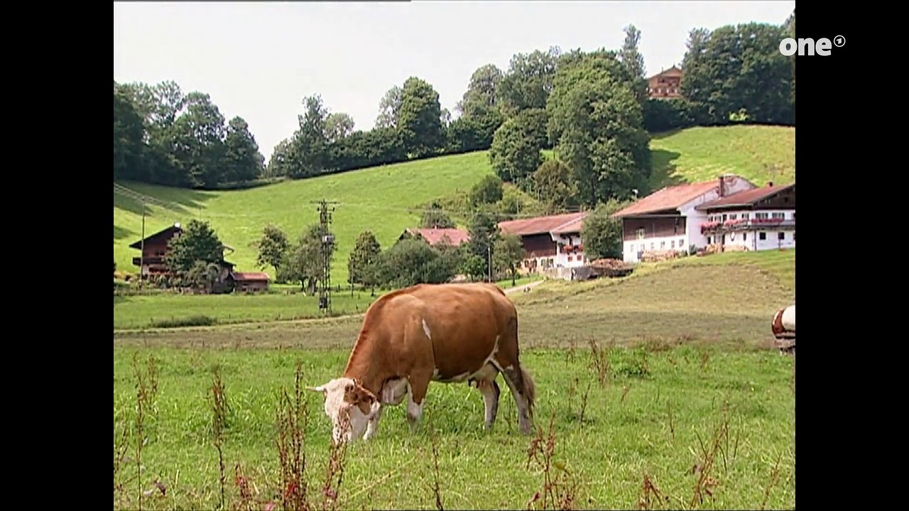 Sturm der Liebe Folge 21