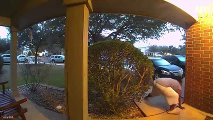 Try Not to Laugh Challenge 🤣 Best Fails of April 2025