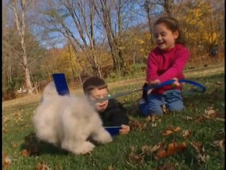 Sesame Street - A Dogs is Accident Meltdown Footage (2003) (HD DVD Version)