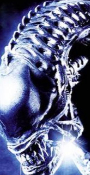 Alien: Romulus 2 – Sequel's Script Includes Predator, Says Insider