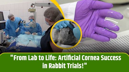 Russian Scientist’s Breakthrough: "Develops Collagen-Based Artificial Cornea at Sechenov University”