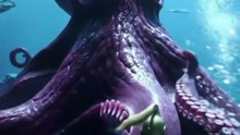 Epic Underwater Battle: Colossal Octopus vs Sea Warriors! 🌊🐙