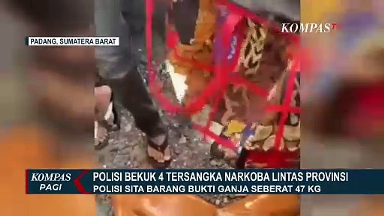 Polda Sumbar Tangkap 4 Kurir Ganja Lintas Provinsi, 47 Kilogram Barang Bukti Disita
