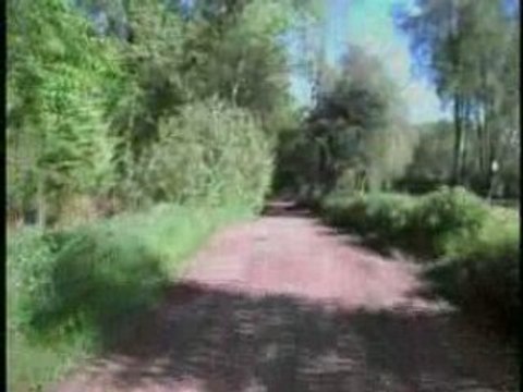 Raismes La forestiere