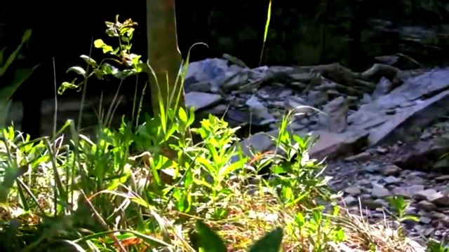 Özdal Orhon / Beni sev ruhumu sar kalbime yaslan beni sev