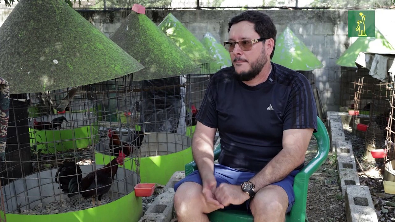 Jorge Santiago describe en qué consiste la crianza de gallos de pelea, y los trabajos en una traba