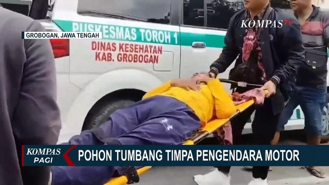 Pohon Tumbang Timpa Pengendara Motor di Grobogan, Korban Alami Luka Serius di Kepala