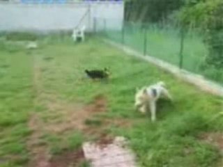 Jeff & Moogly BO du film camping la dolce vita