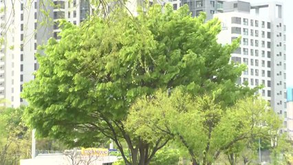 [날씨] 맑지만 강한 바람...동쪽 건조특보 '화재 주의' / YTN