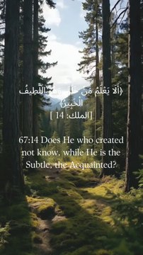 67:14 کیا وہ جس نے پیدا کیا وہ نہیں جانتا حالانکہ وہ باریک بین اور باخبر ہے؟