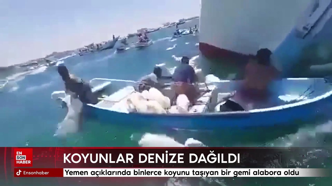 Yemen açıklarında binlerce koyunu taşıyan bir gemi alabora oldu
