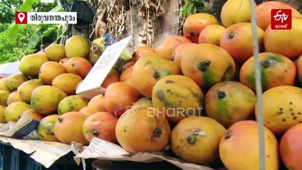 ജീവിതത്തിൽ ഒരിക്കലെങ്കിലും രുചിക്കേണ്ട മാങ്ങകൾ; കേരളത്തിൻ്റെ തനത് മാമ്പഴങ്ങൾ തേടിയൊരു യാത്ര