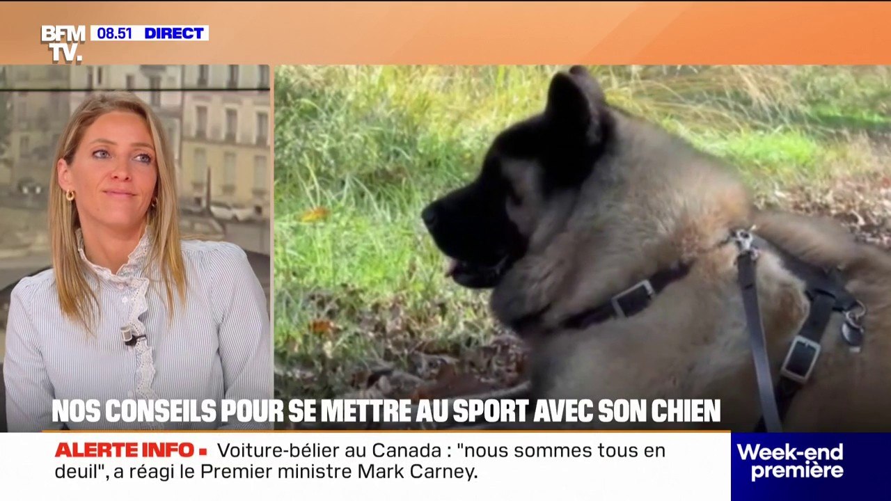 Poils, soleil, amour...nos animaux passent aussi à l'heure d'été