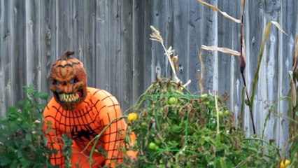 Halloween Spiderman VS  Giant Teddy Bear IRL