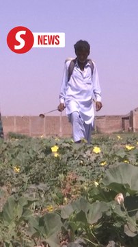 Panic in Pakistan as India vows to cut off water supply over Kashmir