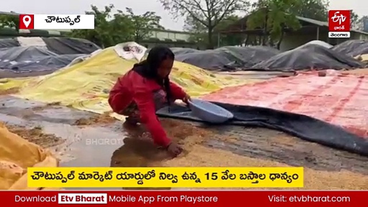 చౌటుప్పల్​లో అకాల వర్షం - మార్కెట్ యార్డులో తడిచి