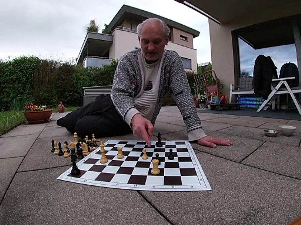 Fragments of 2 chess studies – By Peter Krug