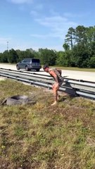 Jacaré invade rodovia e é mobilizado por homem; veja vídeo