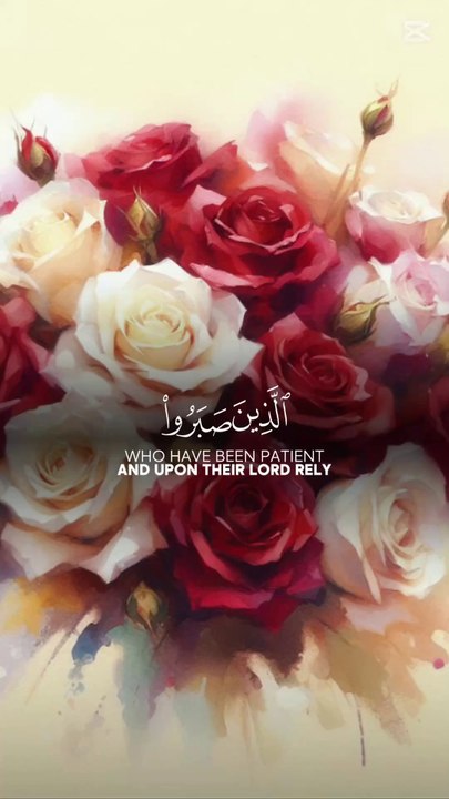copy_ACE8EED1-AF86-48E8-9342-68B751E892F8