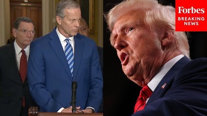 Senate GOP Leaders Hold Press Briefing On Trump's 100th Day In Office