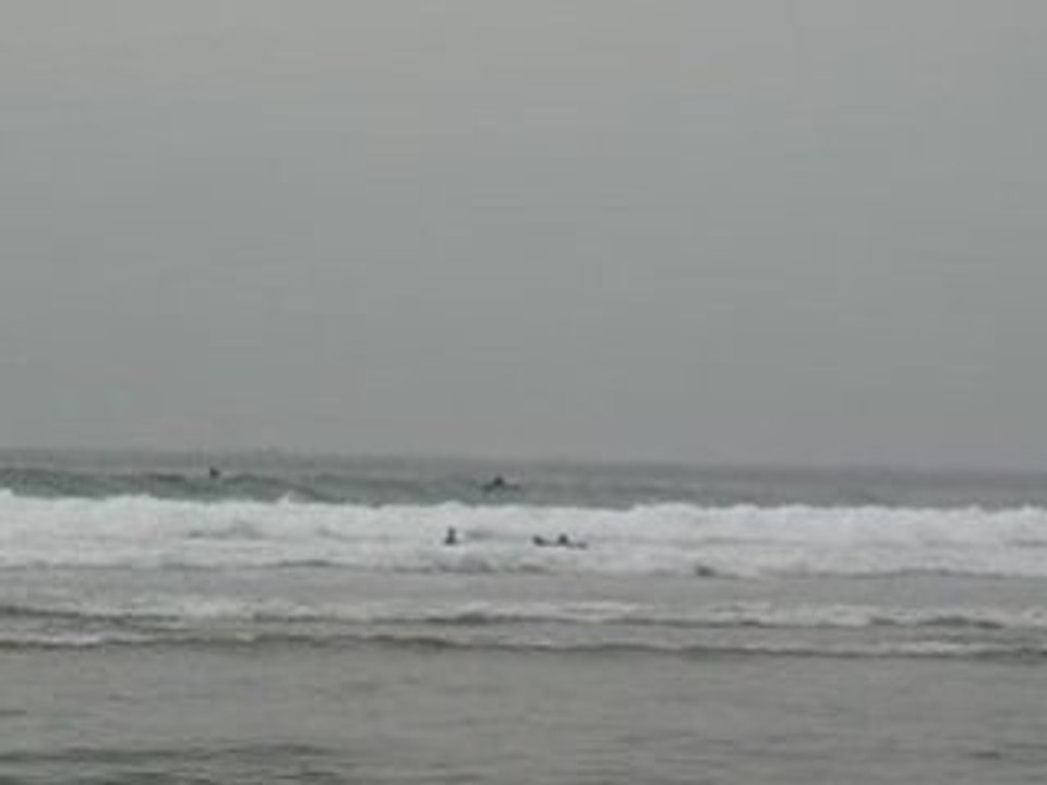 Donostia/San Sebastian (Espagne) : surfeurs