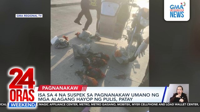 Isa sa 4 na suspek sa pagnanakaw umano ng mga alagang hayop ng pulis, patay | 24 Oras Weekend