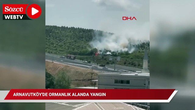 Arnavutköy'de ormanlık alanda yangın