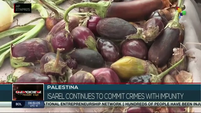 Israeli blockade on Gaza leaves 2.3 million Palestinians without food