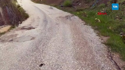 Nesli tükenmekte olan "Türk semenderi"  Adana'da görüntülendi