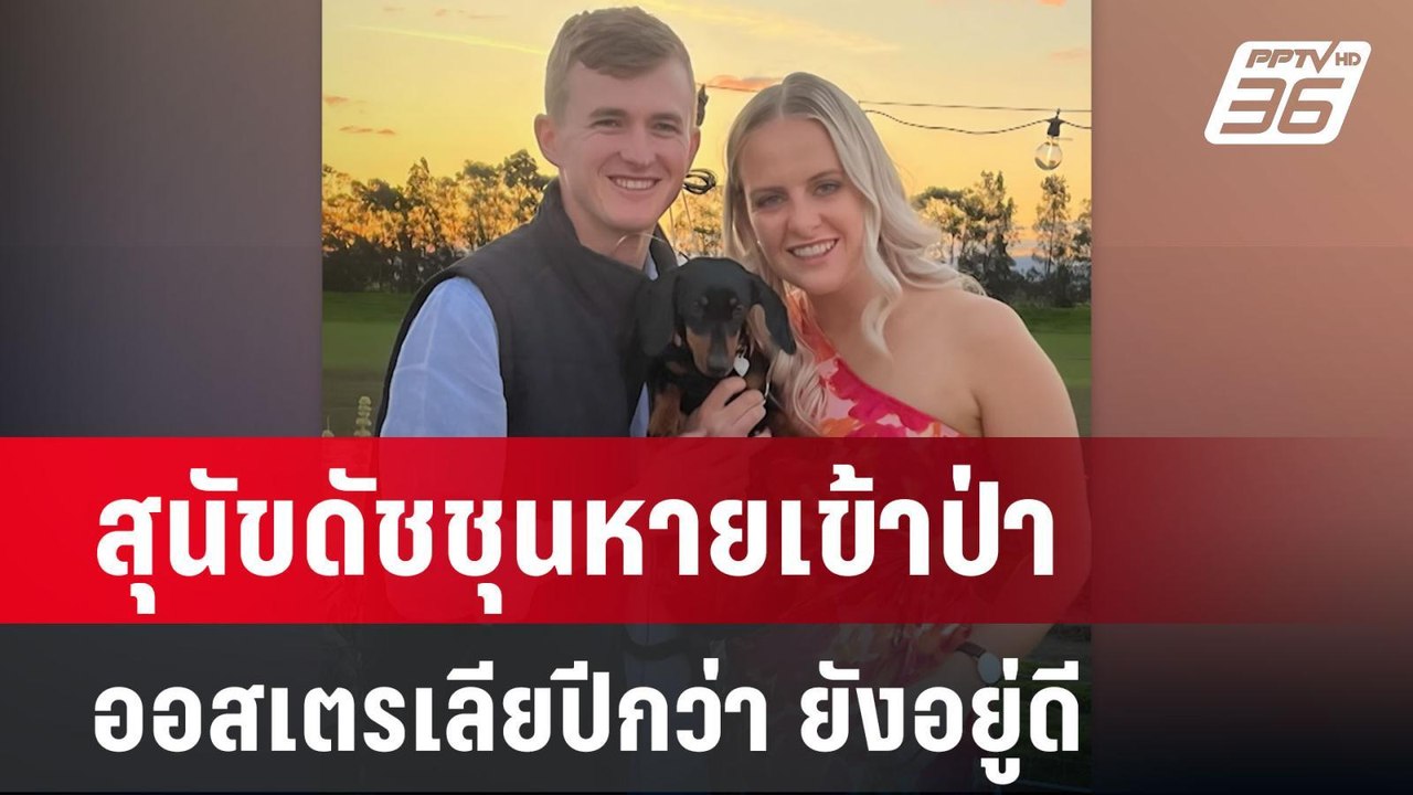 สุนัขดัชชุนหายเข้าป่าออสเตรเลียปีกว่า ยังอยู่ดี...
