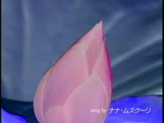 TRUST - Sumitomo Trust Bank (Japan)