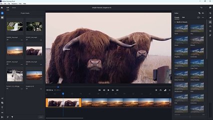 Adobe Premiere Rush 11 Filtering Media in Project Panel