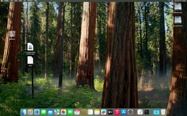 Easy Step-by-Step Guide to Log In to Adobe 🖥️