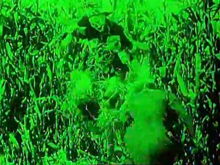 His Majesty the Scarecrow of Oz 1914