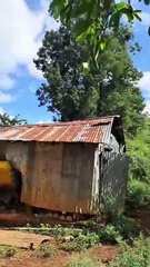 SENPA desmantela casuchas y detiene personas tras operativo realizado en Sierra de Bahoruco