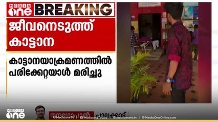 ജീവനെടുത്ത് കാട്ടാന; അട്ടപ്പാടിയിൽ കാട്ടാനയാക്രമണത്തിൽ പരിക്കേറ്റയാള്‍ മരിച്ചു‌‌‌