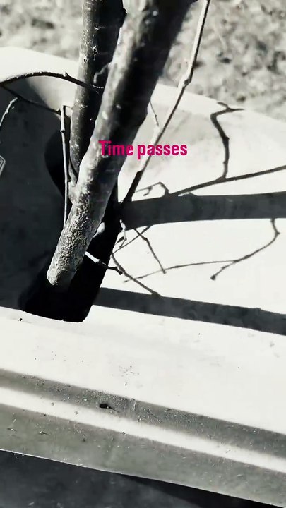 Time passes Folge 06