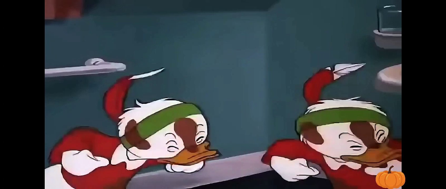 duck- cooking a meal