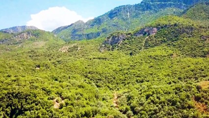 La battaglia delle Termopili - 300 contro un impero : l'eroismo degli spartani raccontato | Cronopop