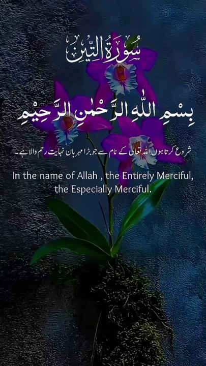 #holyquran #islamicstatus #islam #islamic #quran  #bestvideoislamic #quranislamicshorts