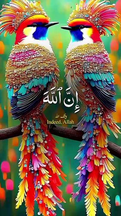 Muslims ☪️