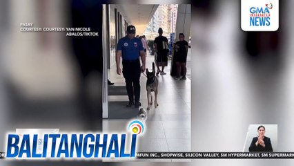 Aso na tila nasindak sa nakitang pusa, kinatuwaan ng netizens | Balitanghali