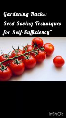 Gardening Hacks: Seed Saving Techniques for Self-Sufficiency"