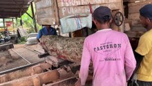 How to Work 3x25 Wood with a Sawmill Machine