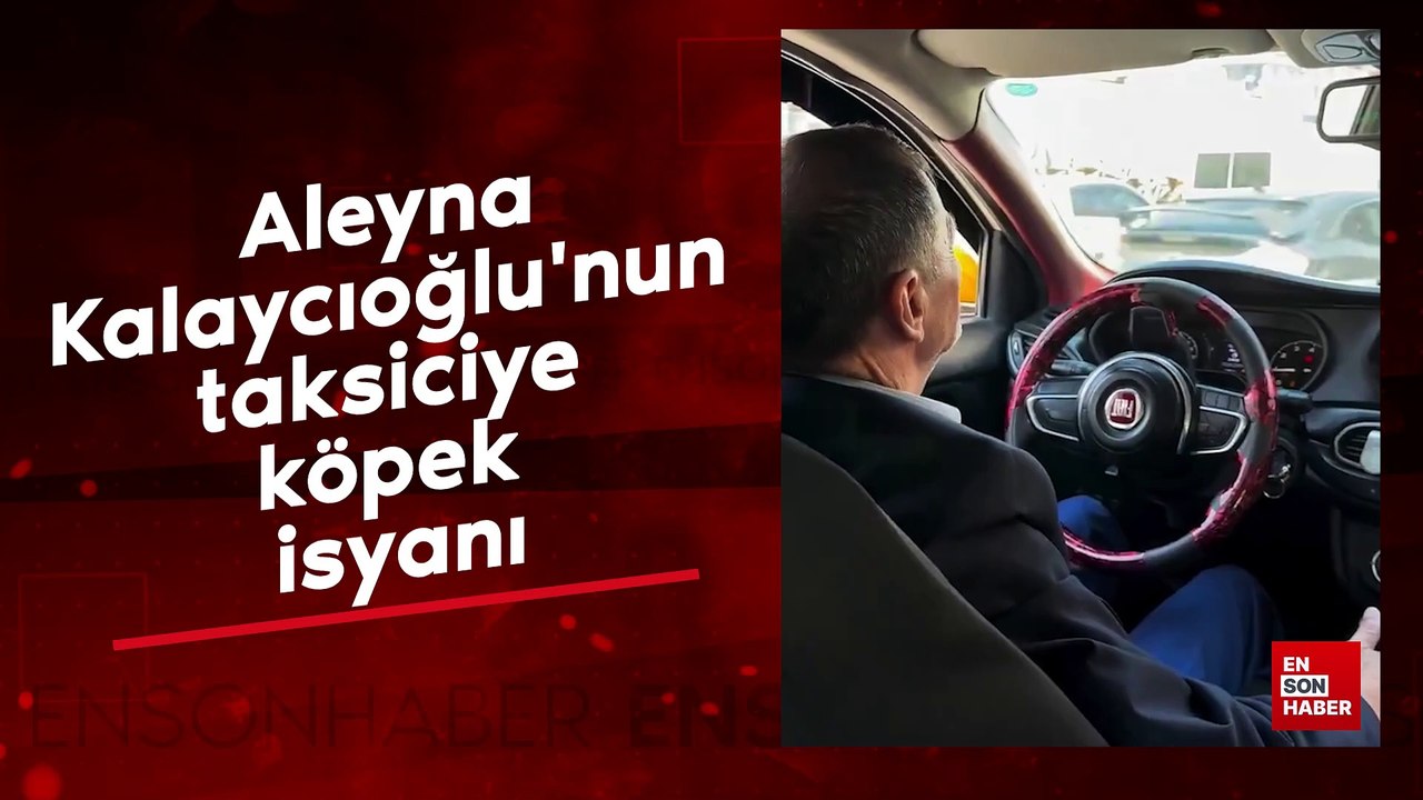 Aleyna Kalaycıoğlu'nun taksiciye köpek isyanı