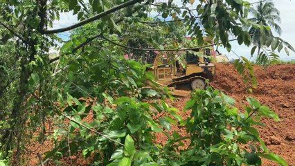 The Power of Moving Hill Bulldozer D6R XL Leveling Resistant Revealed!