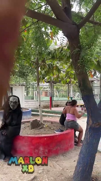 Funny video