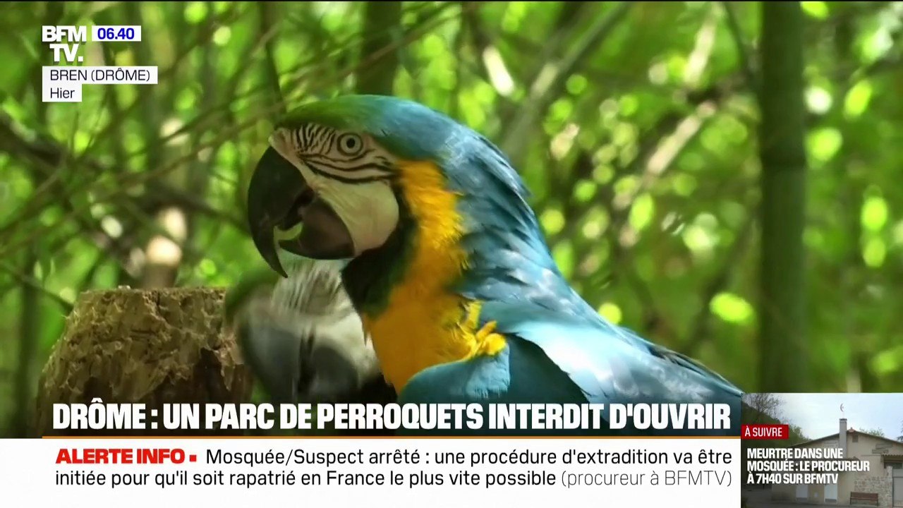Drôme: un parc de perroquets interdit d'ouvrir au public par la préfecture du département