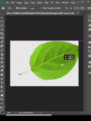 How to Use the Magic Eraser Tool in Photoshop