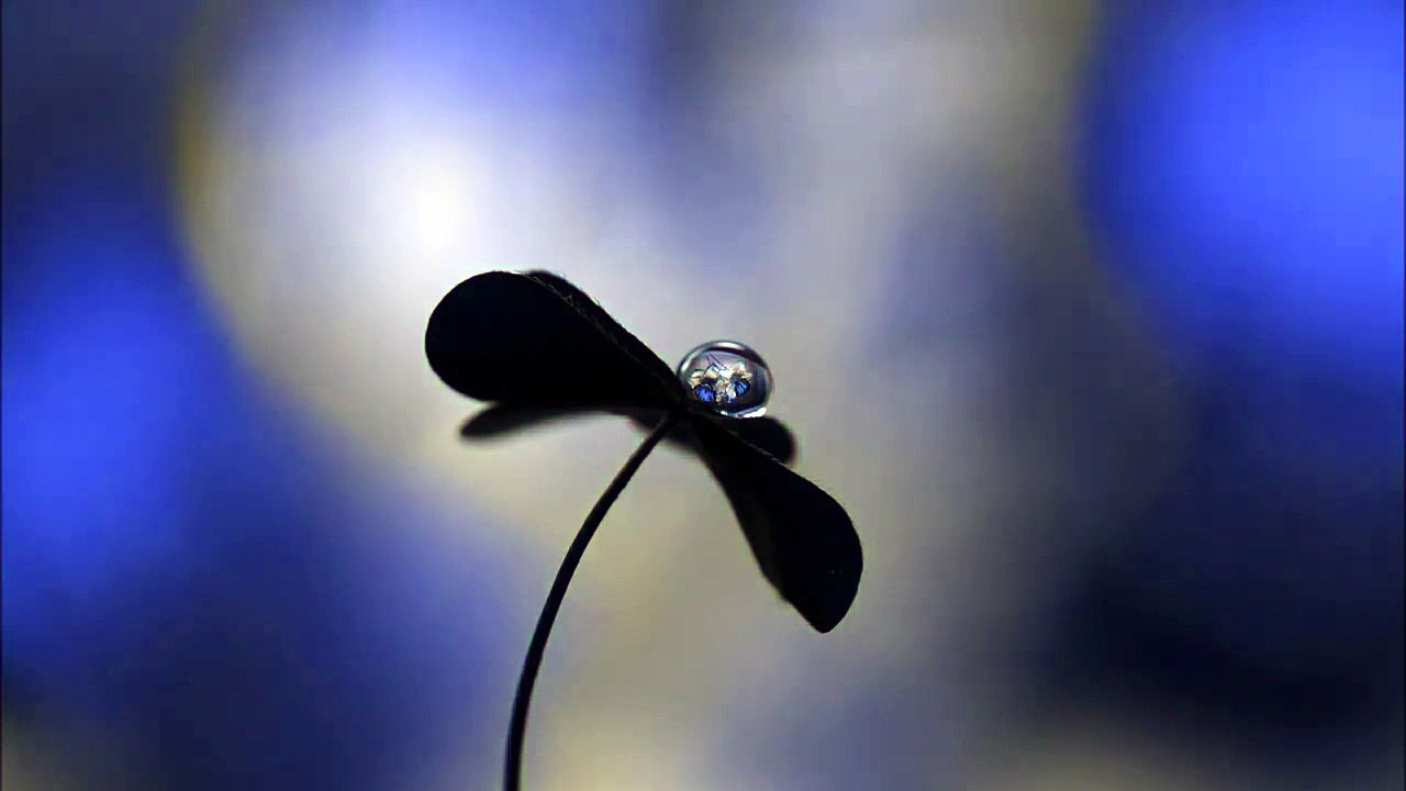 Happy-junior-band e.v. - mame